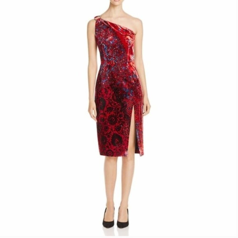 ELIE TAHARI Carter Velvet Floral Print Dress nwot
